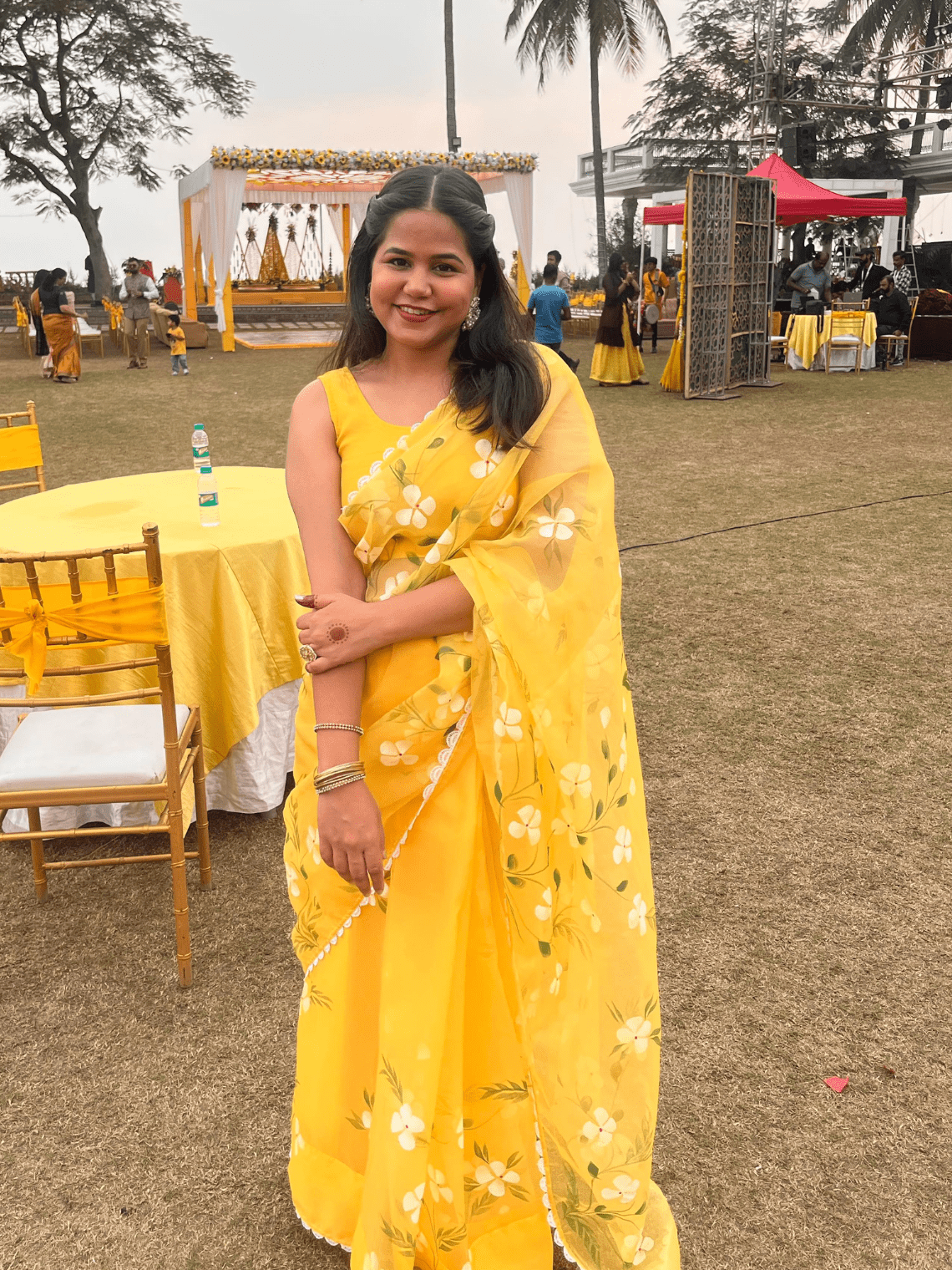 Basant Hand Painted Premium Organza Saree - Chowkhat Lifestyle