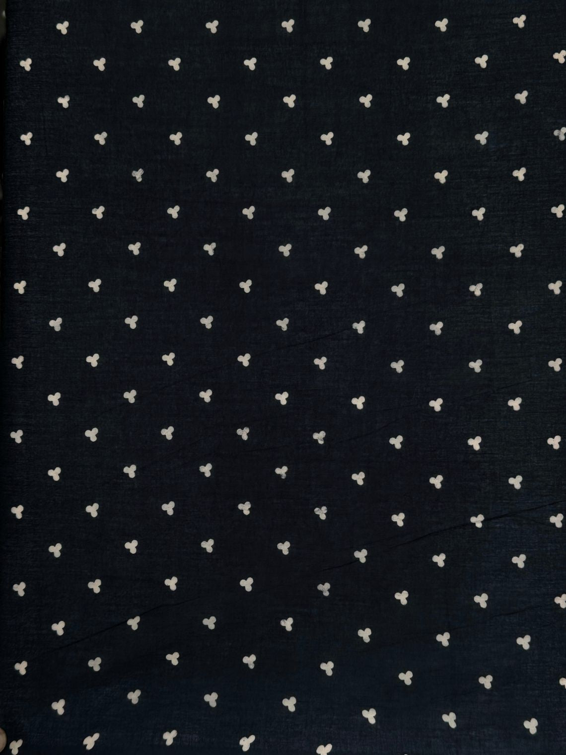 Sana Pre- Draped Hand Printed Mul Cotton Saree