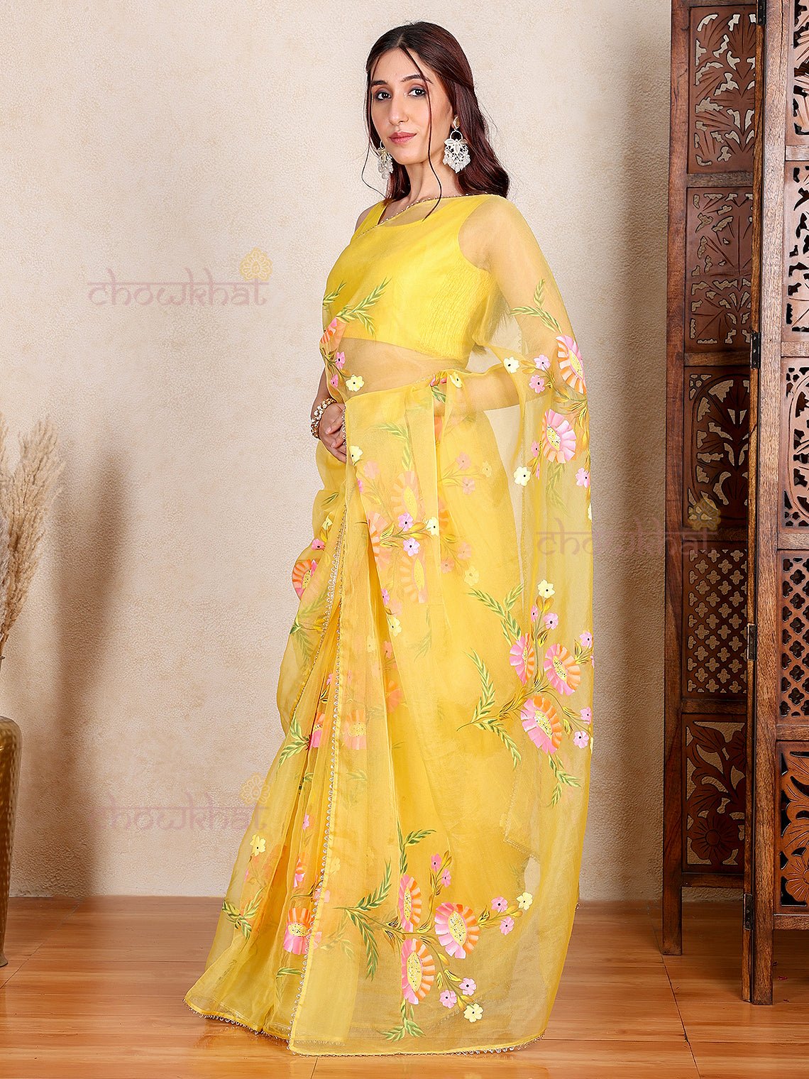 Arani Hand Painted Organza Saree with Lace Detaling - Chowkhat Lifestyle