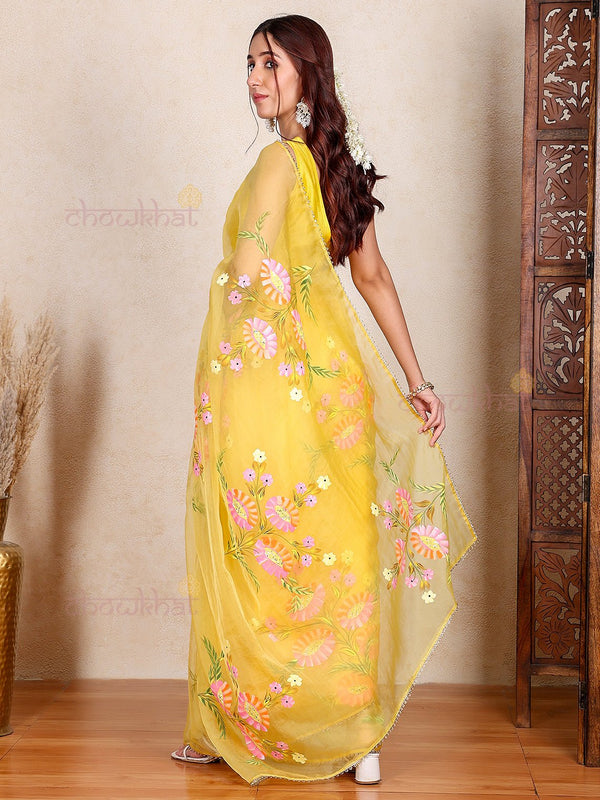 Arani Hand Painted Organza Saree with Lace Detaling - Chowkhat Lifestyle