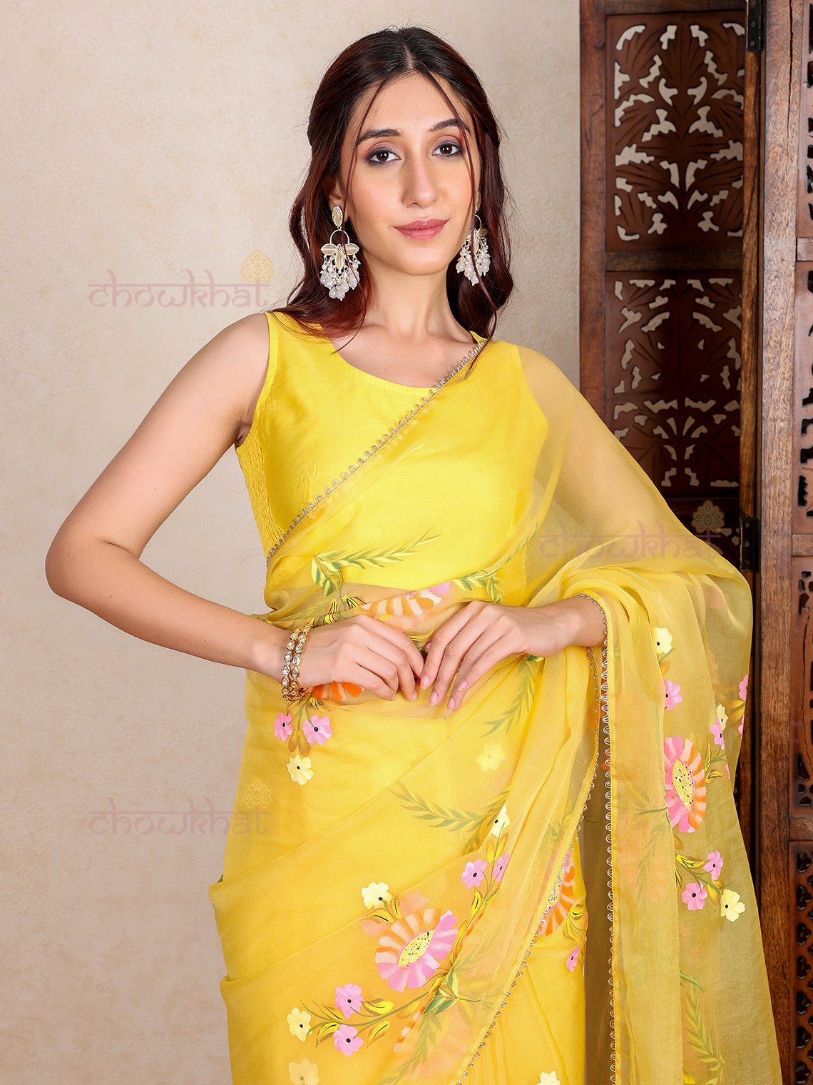 Arani Hand Painted Organza Saree with Lace Detaling - Chowkhat Lifestyle